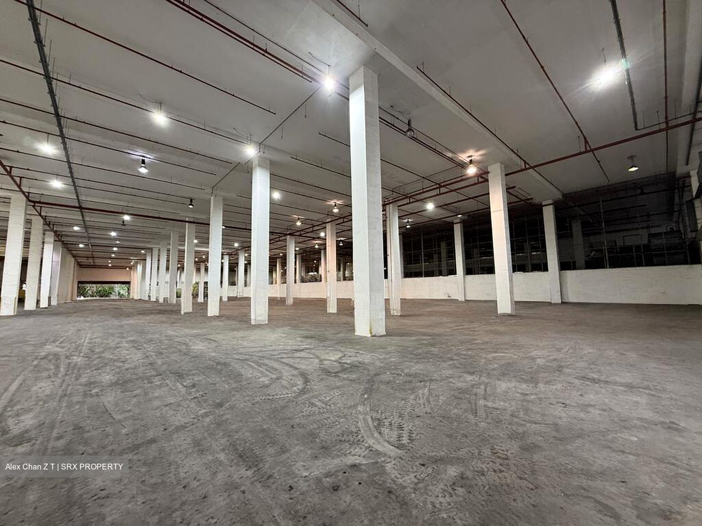 Gul Road (D22), Warehouse #578706351